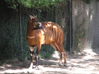20100206 487.JPG